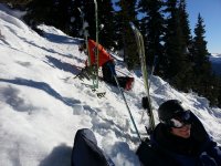 [Click to enlarge image]